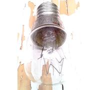 BOMBILLA PARA HORNO 15W 47 X 21 MM FILAMENTO E14 300ºC.