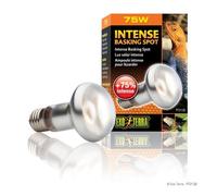 Exo Terra Intense Basking Spot - R25/100W