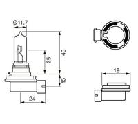 BOSCH LÃ¡mpara H9 Pure Light halÃ³gena para MINI: MINI & VOLKSWAGEN: Golf, Touareg, Passat & VOLVO: S60, S40, V50, V40, XC 60 (Ref: 1 987 302 082)