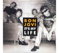 Bon Jovi - It's My Life