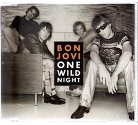 Bon Jovi - One Wild Night