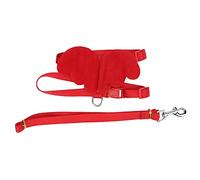 Bonbela Arnés Ajustable para Mascotas Correa para Patos Pollos Gansos Patos Correa Cuerda Cuerda de Tracción Arnés para Caminar con Material de Nailon para Entrenamiento par (S)