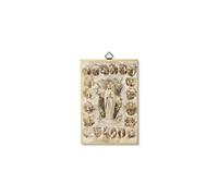 Bonella Brothers Bonella Brothers - Cuadro sagrado sobre madera de chopo de 8 mm con mosaico dorado de los Misterios del Santo Rosario con oración en la parte posterior, 10 x 15 cm, fabricado en