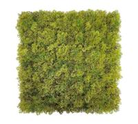 BONERVA Jardín Vertical Artificial Musgo Plus Pack 4 Paneles 50x50 cm 1 m² Muro Vegetal Decorativo de Musgo para Interiores contemporáneos oficinas hoteles y comercios sin Mantenimiento