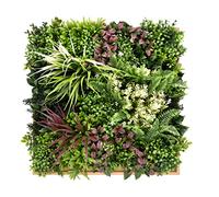 BONERVA | Jardín Vertical Maldivas | Pieza 50x50cm con Marco | Planta Artificial Decorativa para hogar, Oficina, Hotel, Restaurante, etc | MAL1220