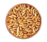 Bongiovanni Bontà Naturali Saragolla (antica varietà di grano duro) 5Kg BIO
