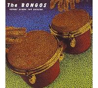 Bongos,the - Drums Along the Hudson