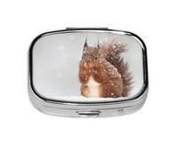 Bonita ardilla en la nieve, pastillero con 2 compartimentos, organizador portátil