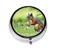 Bonita ardilla, pastillero, pastillero cuadrado para bolsillo o monedero, pastillero pequeño, organizador de pastillas de viaje