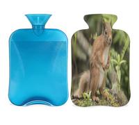Bonita botella de agua caliente con diseño de ardilla de animal con funda, 2 L, bolsa de agua de gran capacidad para noches acogedoras, alivio del dolor, espalda, cuello y hombros