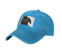 Bonita gorra de béisbol con diseño de perro carlino negro, ala curvada, ajustable, para deportes al aire libre, compras, camping