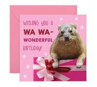 Bonita tarjeta de cumpleaños Hyrax con texto en inglés "Wishing You a Wa Wa-Wonderful Birthday!" - Tarjeta de felicitación de animales para ella, amigos, hermana, colega, mujeres, damas, divertida y