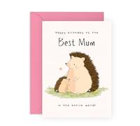 Bonita tarjeta de cumpleaños para ella, erizo, mamá, tarjeta de felicitación para madre, mamá, mamá, familia, animales adorables, viene con divertidas calcomanías