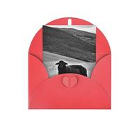 Bonitas tarjetas y sobres en blanco con estampado de cordero de oveja, diseños únicos perfectos para festivales, invitaciones