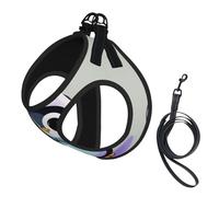 Bonito arnés para perro con estampado de pingüino, 2 hebillas, chaleco para perro, clip frontal para correa sin tirones, para perros pequeños y medianos