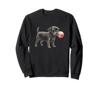 Bonito Estampado de Goma de mascar Rosa Petit Brabancon para Mujer Sudadera