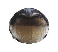 Bonito gorro de ducha con estampado de pingüino, gorro de ducha elegante, reutilizable, gorro de ducha grande para trenzas, pelo largo