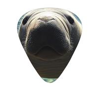 Bonito juego de regalo de púas de guitarra de manatí de animales marinos, púas suaves y duraderas para guitarra acústica, eléctrica y bajo, regalo perfecto para amantes de la guitarra y músicos