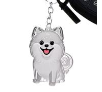 Bonito llavero - Coleccionista de pelo de animales transparente | Bonito llavero - Contenedor transparente para animales, soporte para recoger pelo de mascotas, estuche de recuerdo portátil