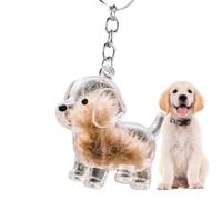 Bonito llavero - Coleccionista de pelo de animales transparente | Bonito llavero - Contenedor transparente para animales, soporte para recoger pelo de mascotas, estuche de recuerdo portátil
