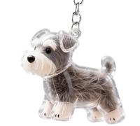 Bonito llavero - Coleccionista de pelo de animales transparente | Bonito llavero - Contenedor transparente para animales, soporte para recoger pelo de mascotas, estuche de recuerdo portátil