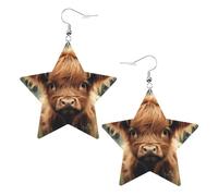 Bonitos aretes con forma de estrella de vaca, aretes colgantes modernos, joyería de declaración para mujer para la oficina diaria