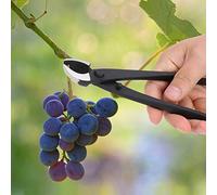 BONKZEBU Cortador de Ramas de Bonsái Forjado a Mano, Herramientas de Modelado para Recortar Flores, árboles Frutales, Bonsái para Jardinería Interior y Exterior, Alta Dureza 8.1x2.2x0.8in