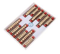 BONKZEBU Material de Reparación de Dientes de Dentadura Postiza de Resina para Dentistas, 12 Tiras de Dientes Postizos de Resina Sintética para Aprendizaje de Modelos de Dentaduras Postizas, Color