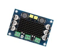 BONKZEBU Placa Amplificadora de Potencia TPA3116D2, Módulo AMP de 1 Canal de 100 W con Disipador de Calor Grande para Cine en Casa, Centro Comercial, Música, DC12-26 V