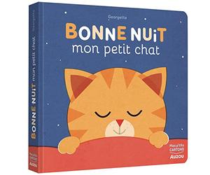 BONNE NUIT MON PETIT CHAT ! (Mes p'tits cartons)