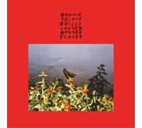 Bonnie Prince Billy I Have Made a Place (CD) Album (Importación USA)