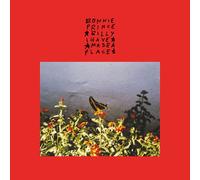 Bonnie Prince Billy – I Made a Place – Vinilo color – Edición limitada – Domino
