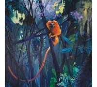 Bonnie Prince Billy - We Are Together Again (LP)