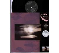 BONO / CLANNAD - BONO / CLANNAD - IN A LIFETIME - 12" VINYL