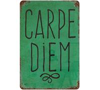 Bonoff Carpe Diem Cita inspiradora Citas motivacionales positivas cocina oficina positiva decoración vintage póster arte pared cartel metal 8 x 12 pulgadas