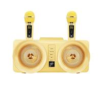 BONOOL Sistema Familiar portátil Dos micrófonos con micrófono de Condensador con Altavoz estéreo de Dientes de 30 vatios (Color: Blanco-Dinosaur Doodle4)