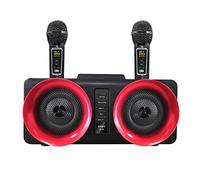 BONOOL Sistema Familiar portátil Dos micrófonos con micrófono de Condensador con Altavoz estéreo de Dientes de 30 W (Color: D)