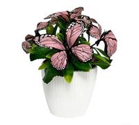 Bonsái artificial de orquídea Phalaenopsis, flor falsa realista en maceta para decoración del hogar, centro de mesa de boda y escritorio de oficina, planta de plástico de bajo mantenimiento (9,5 x 9,5