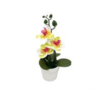 Bonsái artificial de orquídea Phalaenopsis, planta de flores falsas de plástico realista para sala de estar, oficina, decoración del hogar, no necesita mantenimiento () (verde y blanco)