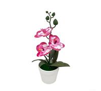 Bonsái artificial de Phalaenopsis, orquídea para fotografía de boda, maceta de plástico para decoración de sala de estar (ribete fucsia)
