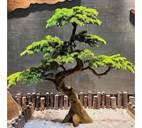 Bonsái Artificial Grande for decoración de Interiores, con Tronco de Madera Natural y Hojas realistas, Ideal for Decorar el hogar, la Oficina y la Mesa.(1mx0.9m)