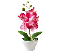 Bonsái artificial Phalaenopsis, orquídea de cinco cabezas, juego de flores falsas para decoración de mesa de oficina en casa, seda realista con jarrón de cerámica (rosa)