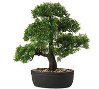 Bonsai Artificial Realista - Planta Artificial - Bonsai - Cedro - Pino Podocarpus - Plástico - con Maceta de cerámica - Negro - para decoración de baño, Oficina, alféizar de la Ventana