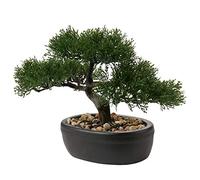 Bonsai Artificial Realista - Planta Artificial - Bonsai - Cedro - Pino Podocarpus - Plástico - con Maceta de cerámica - Negro - para decoración de baño, Oficina, alféizar de la Ventana