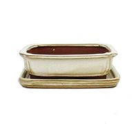 Bonsai - Cuenco con platillo 2 - Rectangular G12 - Beige claro - 15,5 cm - 12 cm - 4,5 cm de alto