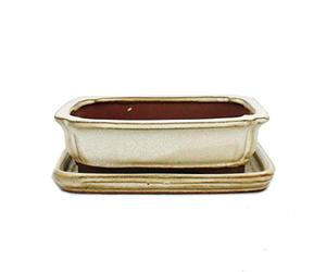 Bonsai - Cuenco con platillo 2 - Rectangular G12 - Beige claro - 15,5 cm - 12 cm - 4,5 cm de alto
