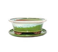Bonsai cuenco con plato gr. 4 - Esmalte especial con noble efecto degradado, ovalado 09 - verde claro - beige - L 25,5 cm - W 21 cm - H 9 cm