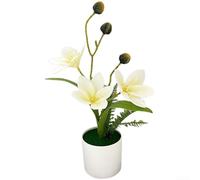 Bonsái de árbol de magnolia artificial con proporciones equilibradas y detalles naturalistas para sala de estar, entrada o espacio de trabajo (blanco)