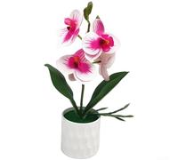 Bonsái de orquídea artificial, planta de Phalaenopsis de 26 cm, flor sintética realista, bajo mantenimiento, acabado de textura transparente para decoración de escritorio de oficina en casa