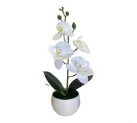 Bonsái de orquídea mariposa artificial, 4 piezas pequeñas redondas para el vientre, arreglo floral falso, decoración floral de seda realista, decoración de bajo mantenimiento para el hogar y la